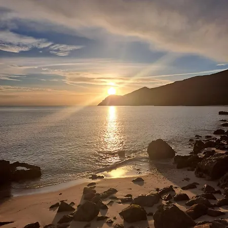 Arrabida Palmela